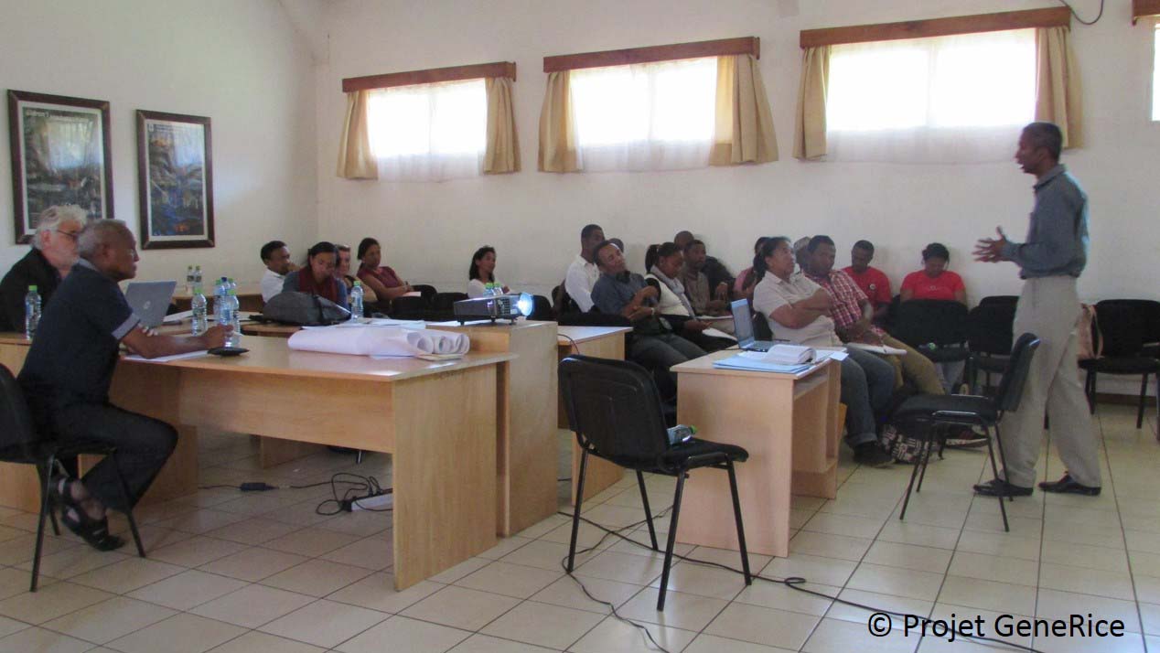 Animation de l’atelier de travail réunissant organisations de producteurs et des membres de la société civile lors du forum citoyen sur l’analyse participative de la faisabilité réglementaire et sociétale de la dissémination de variétés de riz génétiquement modifiées à Madagascar (Antananarivo, 22-23 avril 2018)