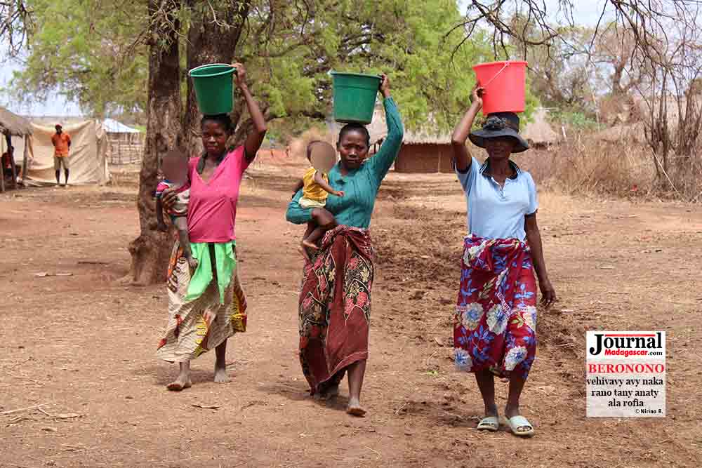 Beronono – Ambondromamy : vehivavy avy naka rano tany anaty ala rofia